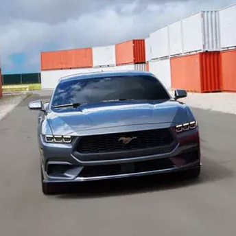 Mustang